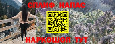 молекула духа Бийск