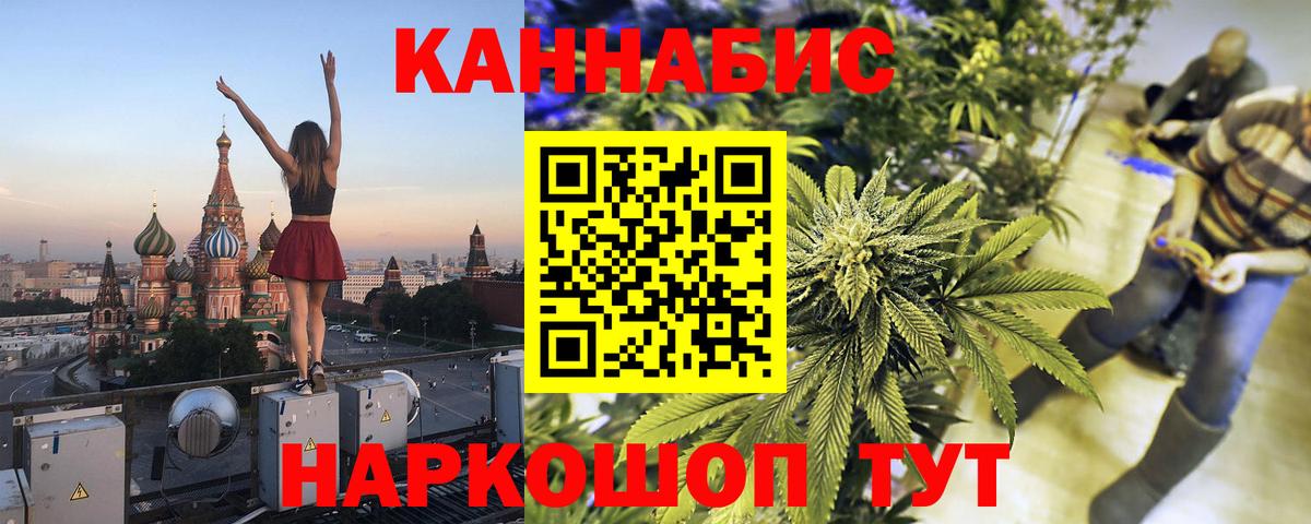 Канабис сатива Канаш